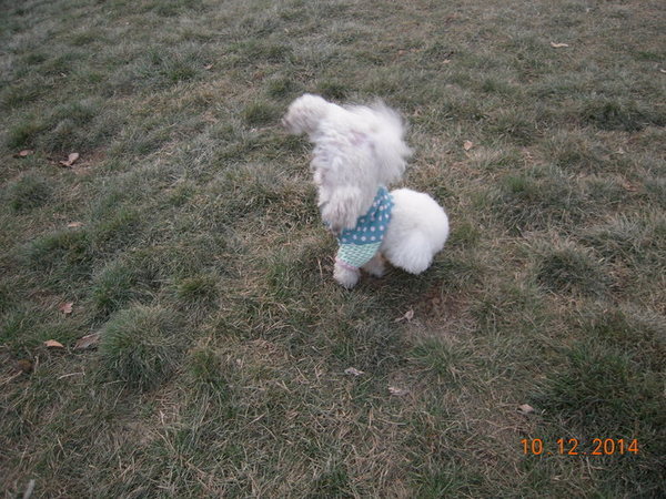 ���� 433.jpg