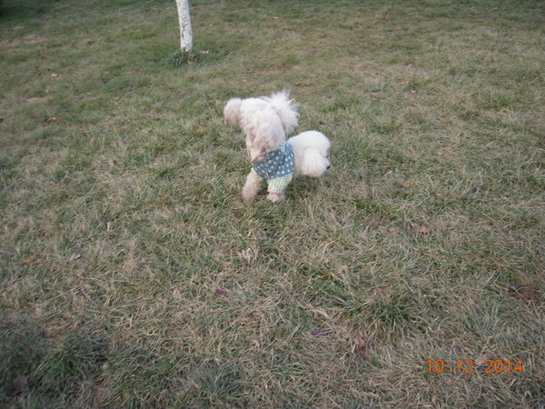 ���� 432.jpg