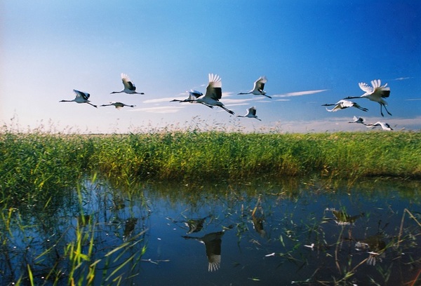 ����5 - ����.jpg