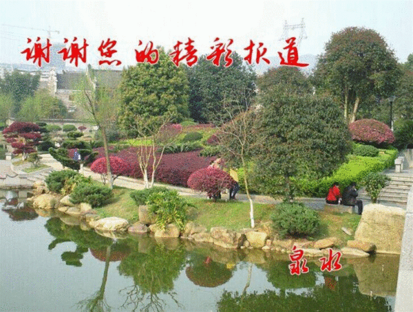 forum (19)_�?��.gif