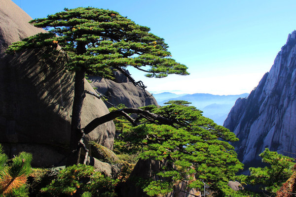 ��ɽ����3 - ����.jpg