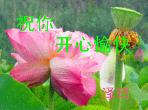 220 (8)_����.gif