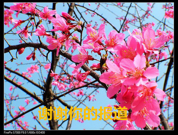 лл��ı��� (2).jpg