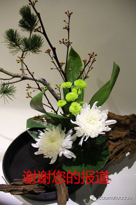 лл��ı��� (5).jpg