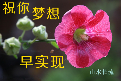 ���Ȼ�9 ף��������ʵ��.jpg