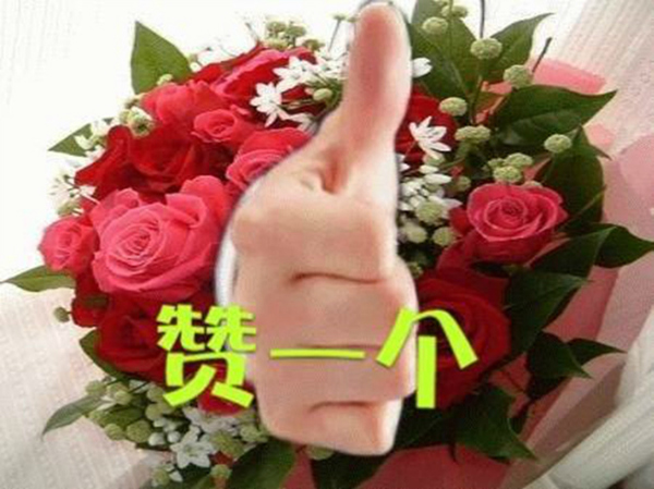 forum (26)_jpg_thumb.jpg