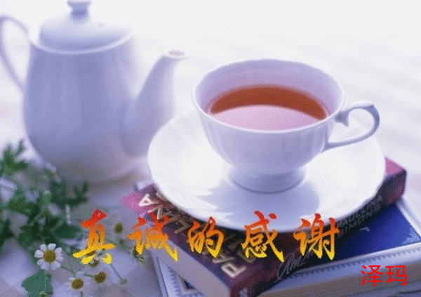 forum (17)_����.gif