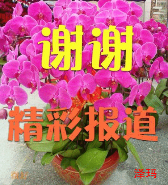 forum (2)_����.gif