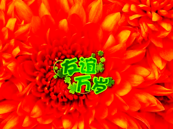 8_jpg_thumb - ����.png