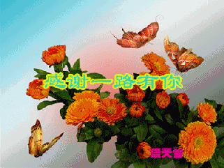 ��лһ·����������.gif