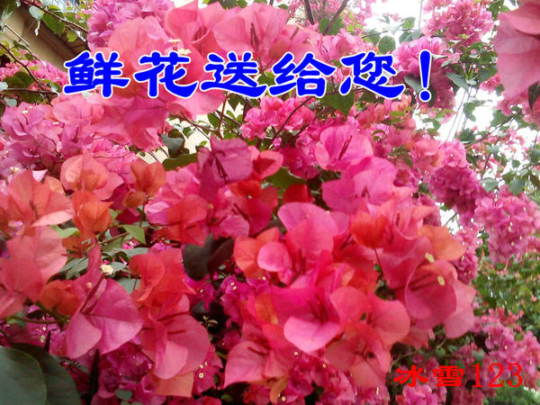 �ʻ��͸��� (2).jpg