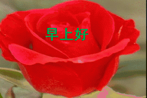 QQ20160215232106.gif
