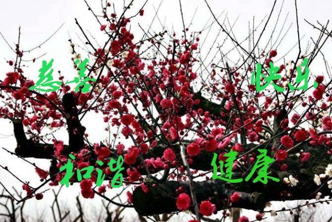 psb (5)_jpg_thumb_jpg_thumb.jpg