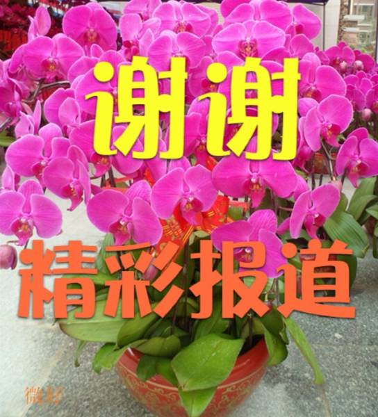 image_jpg_thumb (13).jpg