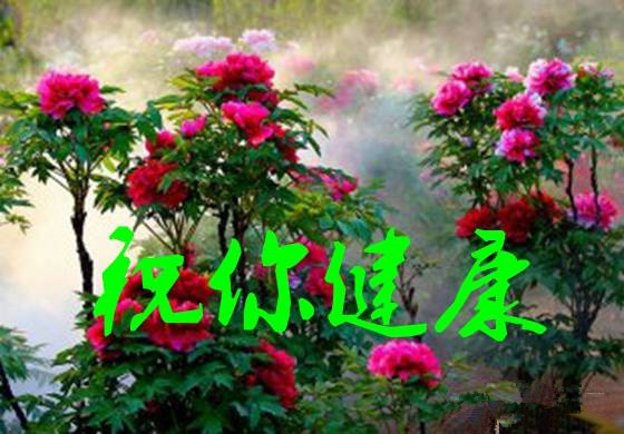 1404270921203.jpg.thumb (2).jpg