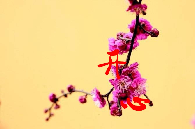 psb (6)_jpg_thumb.jpg