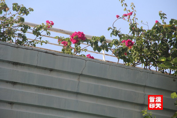 160922����������������� (30) - ����.jpg