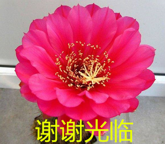 forum (4)_����.jpg