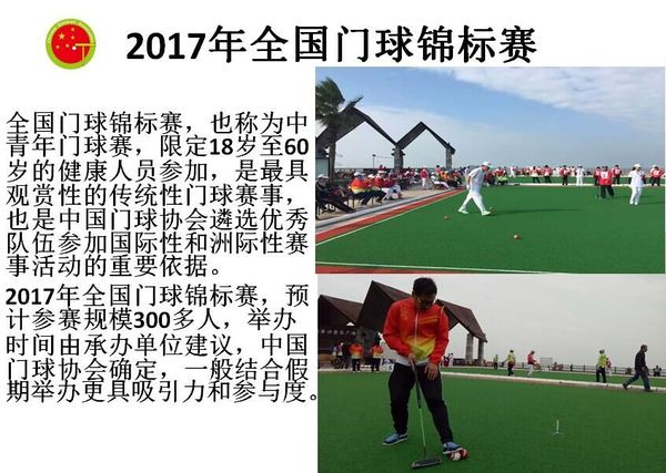 2017���й��� �������