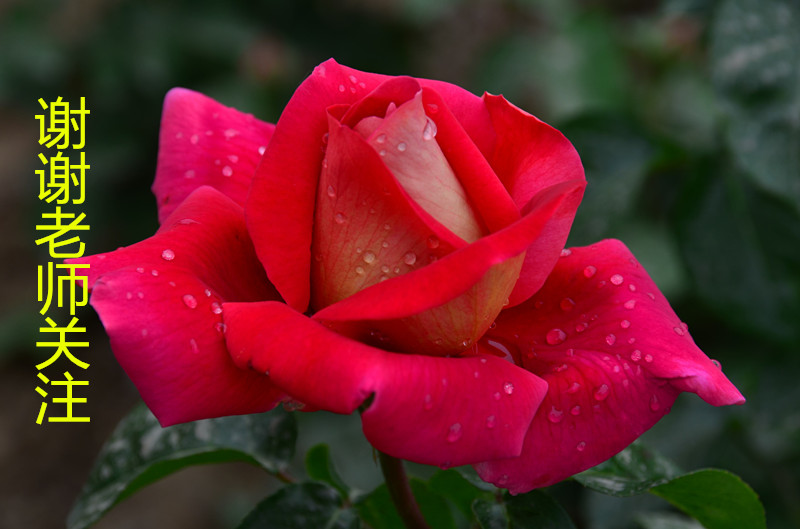 timg (23)_����.jpg