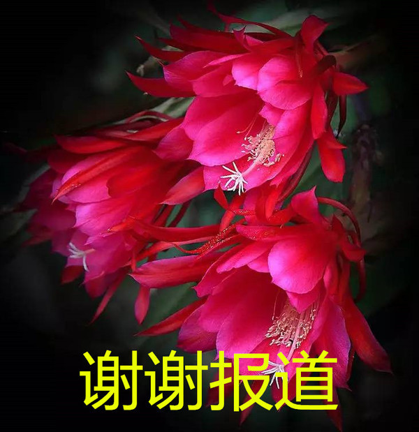 60419656_48_���� (2).jpg