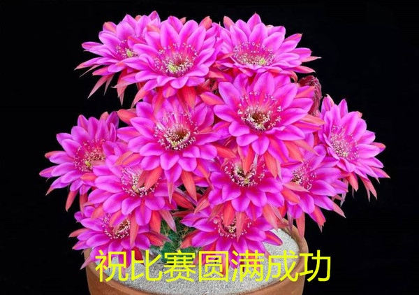 forum (1)_����.jpg