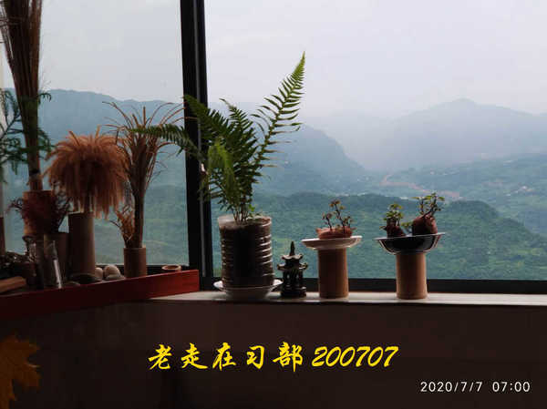 JYZ 20200707 WYB (2).jpg