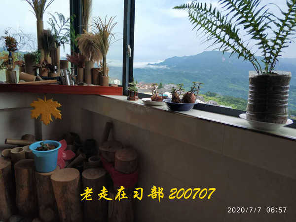 JYZ 20200707 WYB (1).jpg