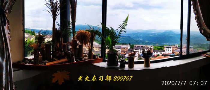 JYZ 20200707 WYB (6).jpg