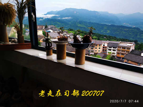 JYZ 20200707 WYB (10).jpg