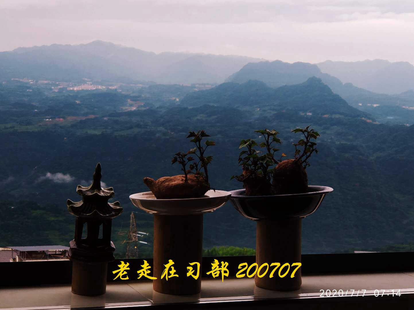 JYZ 20200707 WYB (9).jpg