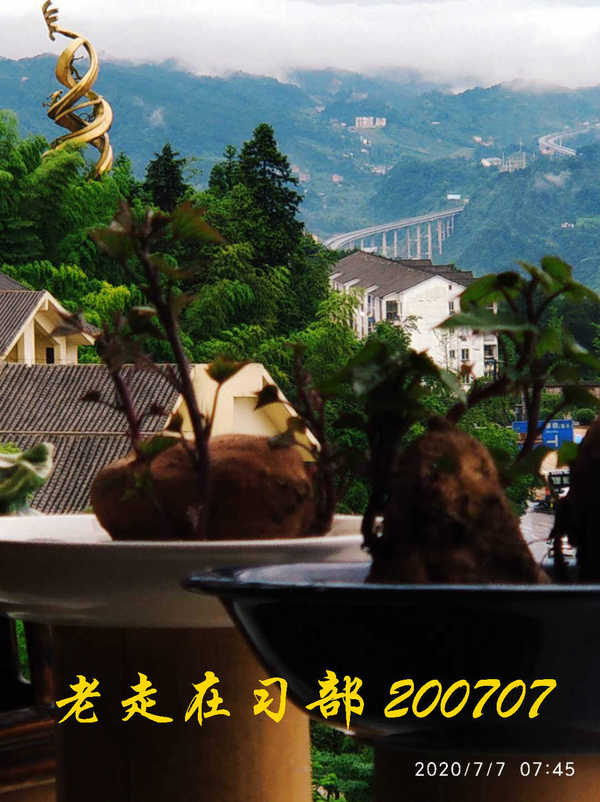 JYZ 20200707 WYB (14).jpg