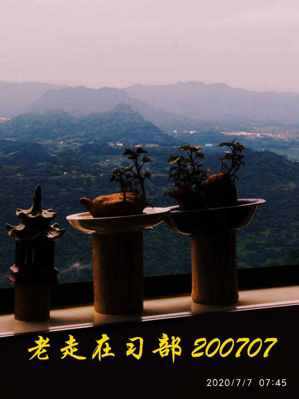 JYZ 20200707 WYB (11).jpg