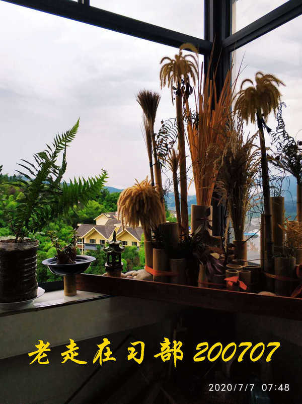 JYZ 20200707 WYB (17).jpg