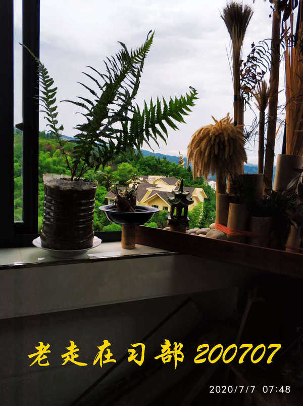 JYZ 20200707 WYB (16).jpg