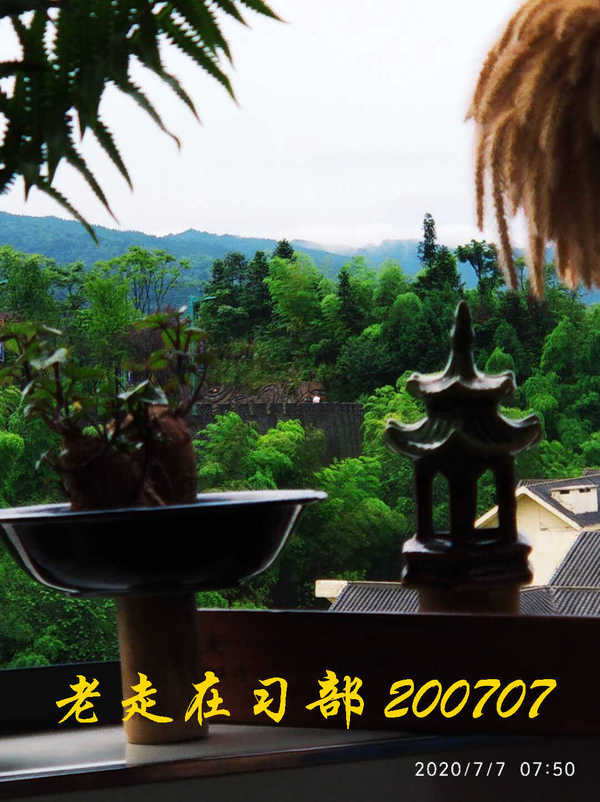 JYZ 20200707 WYB (19).jpg