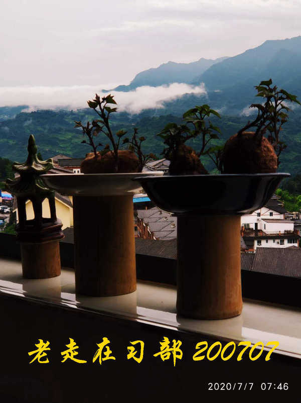 JYZ 20200707 WYB (15).jpg