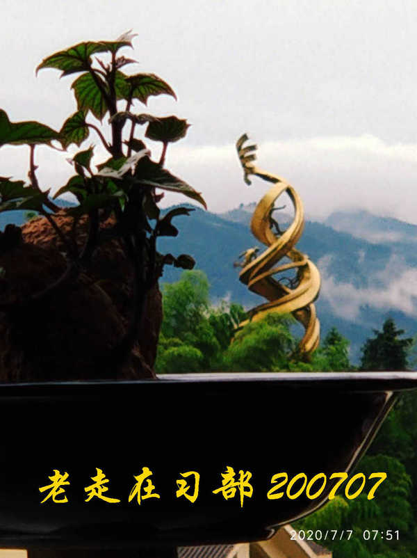 JYZ 20200707 WYB (21).jpg