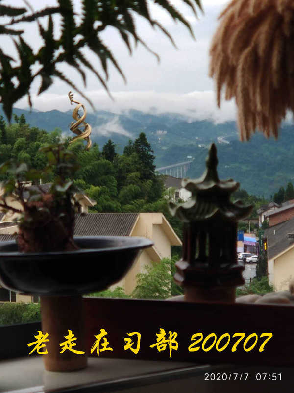 JYZ 20200707 WYB (22).jpg