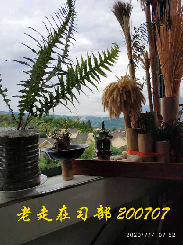 JYZ 20200707 WYB (24).jpg