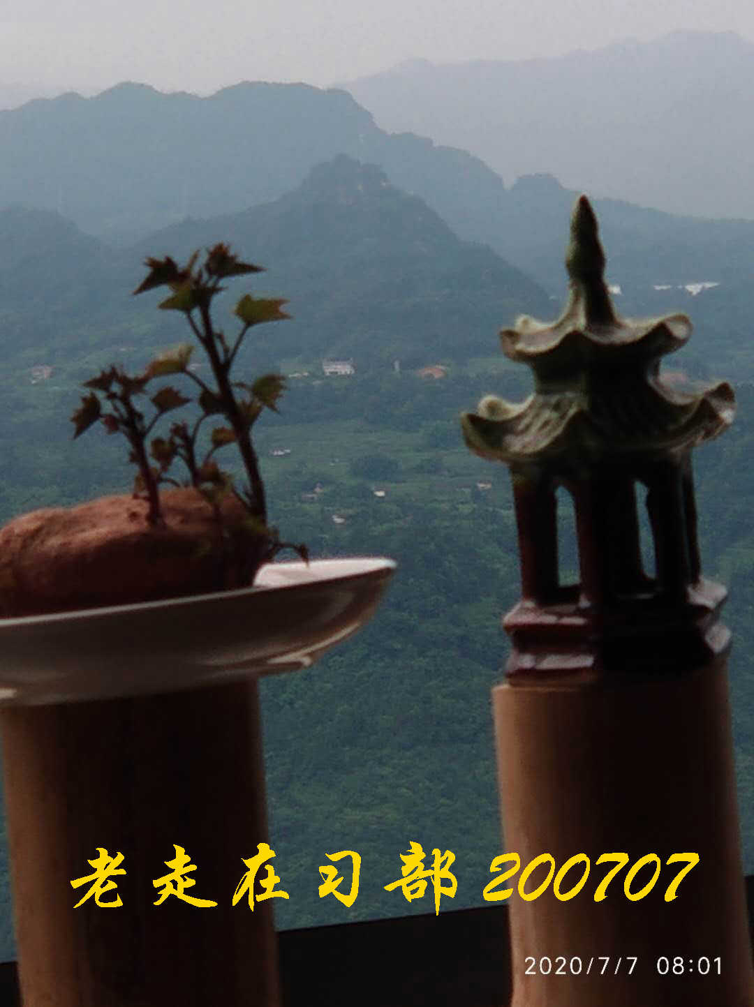 JYZ 20200707 WYB (29).jpg