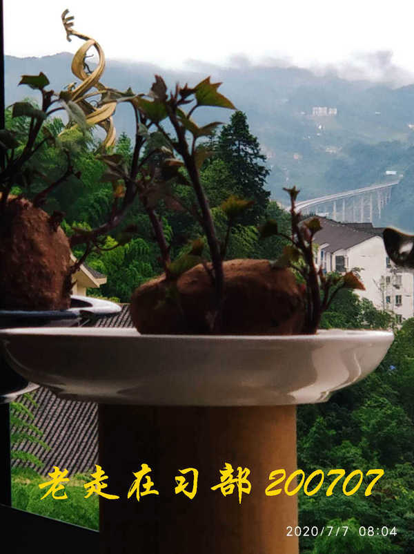 JYZ 20200707 WYB (33).jpg