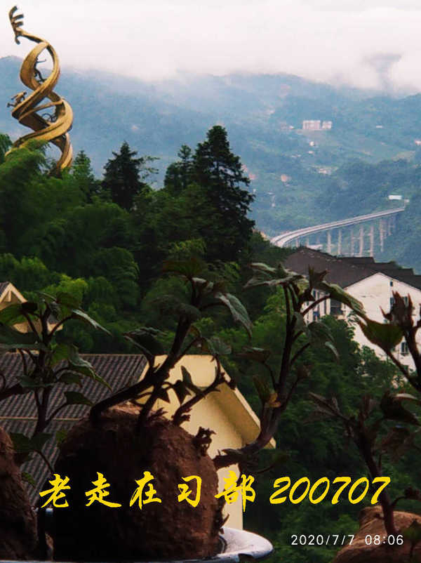 JYZ 20200707 WYB (35).jpg