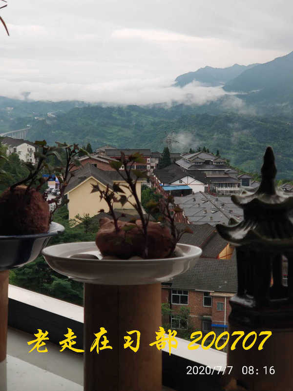 JYZ 20200707 WYB (34).jpg