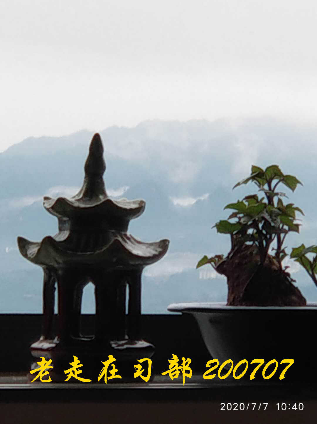 JYZ 20200707 WYB (37).jpg