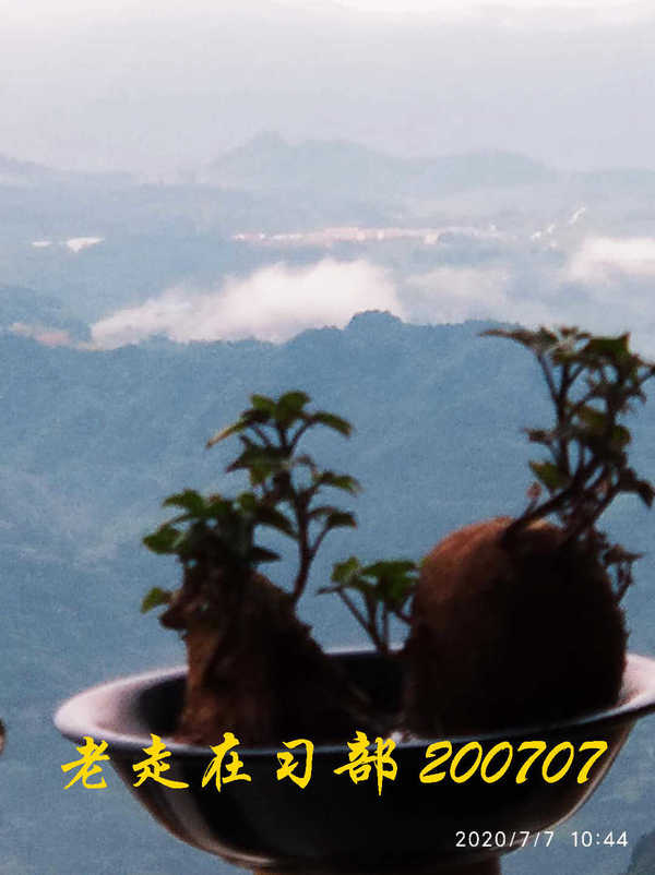 JYZ 20200707 WYB (40).jpg