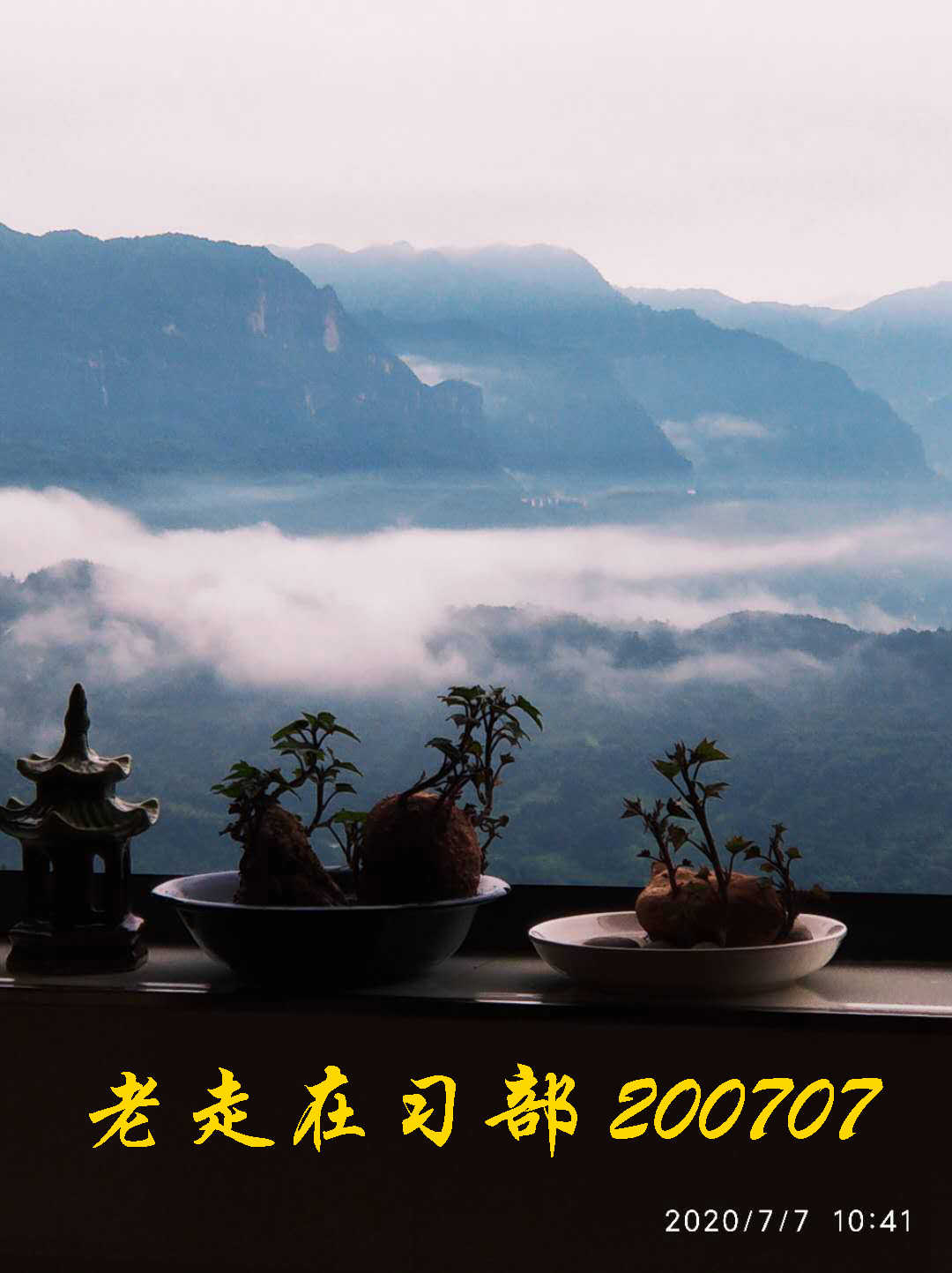 JYZ 20200707 WYB (38).jpg