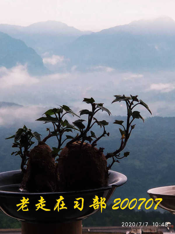 JYZ 20200707 WYB (45).jpg