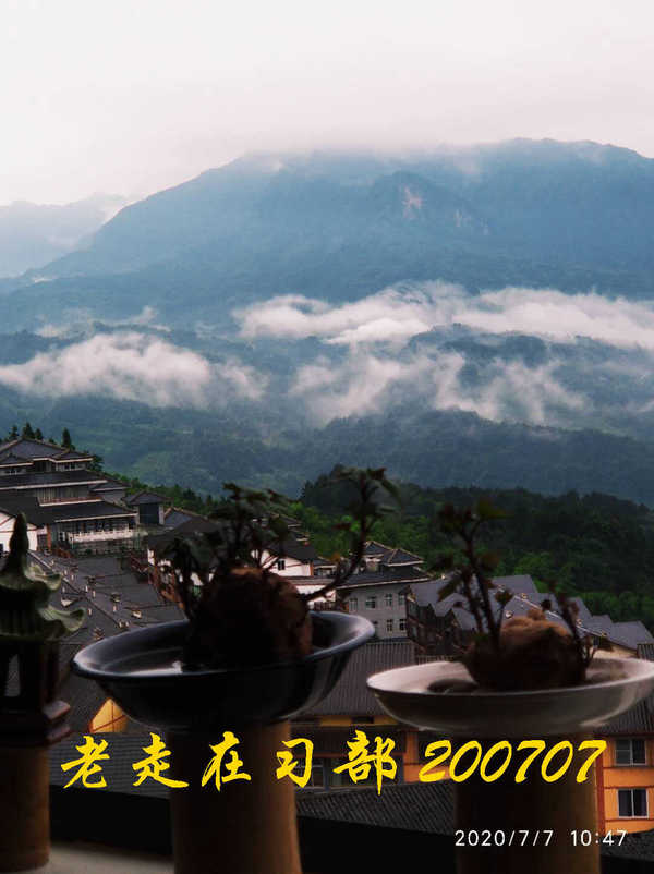 JYZ 20200707 WYB (44).jpg