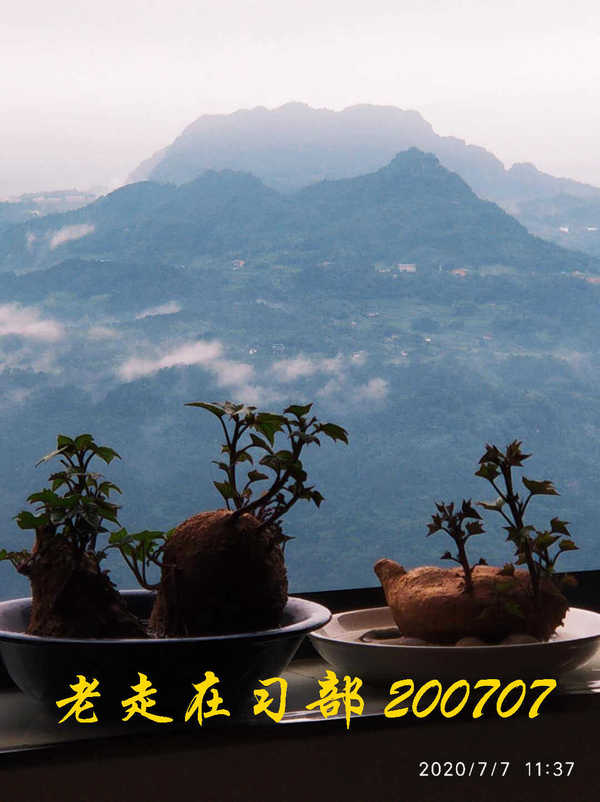 JYZ 20200707 WYB (47).jpg